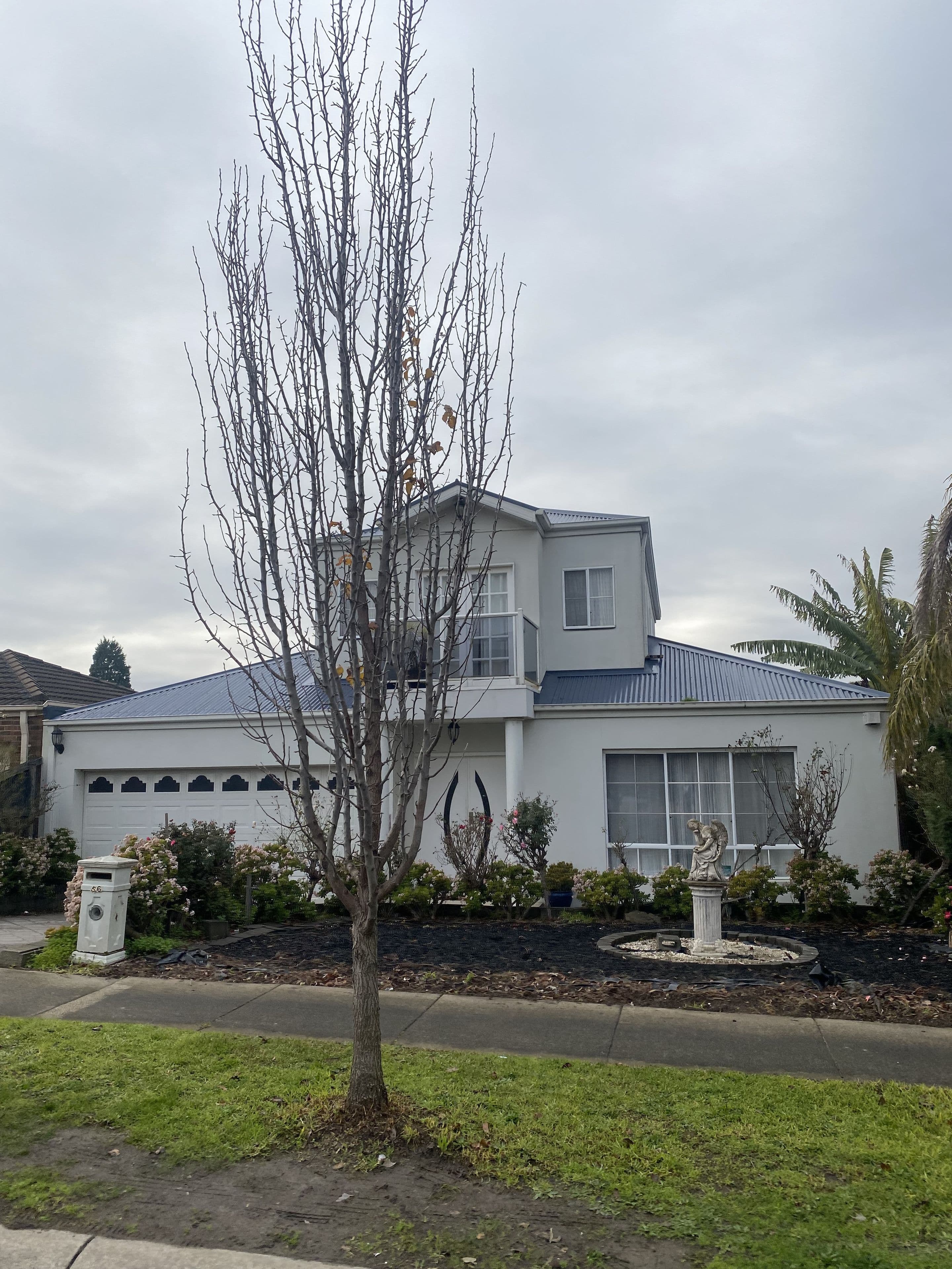 56 Michele Drive, Scoresby VIC 3179, Scoresby - Image 1