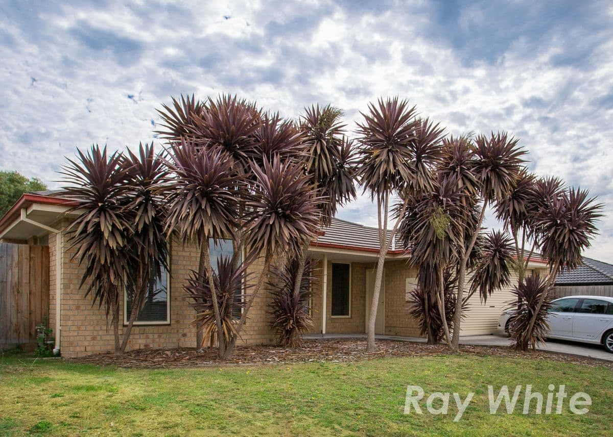 3 Sunset Rise, Hastings VIC 3915, Hastings - Thumbnail 2