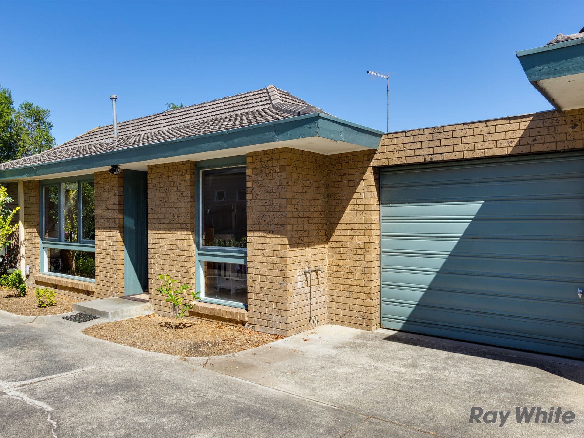 5 Barkly Street, Ringwood VIC 3134, Ringwood - Thumbnail 8
