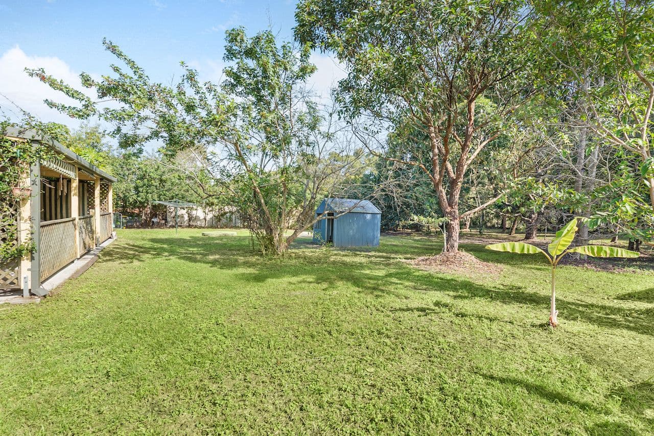 29 Mifawny Road, Elimbah QLD 4516, Elimbah - Thumbnail 4