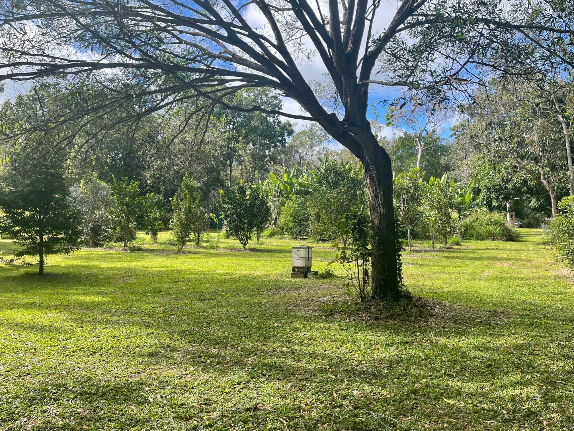 2302 Kennedy Highway, Koah QLD 4881, Koah - Thumbnail 3