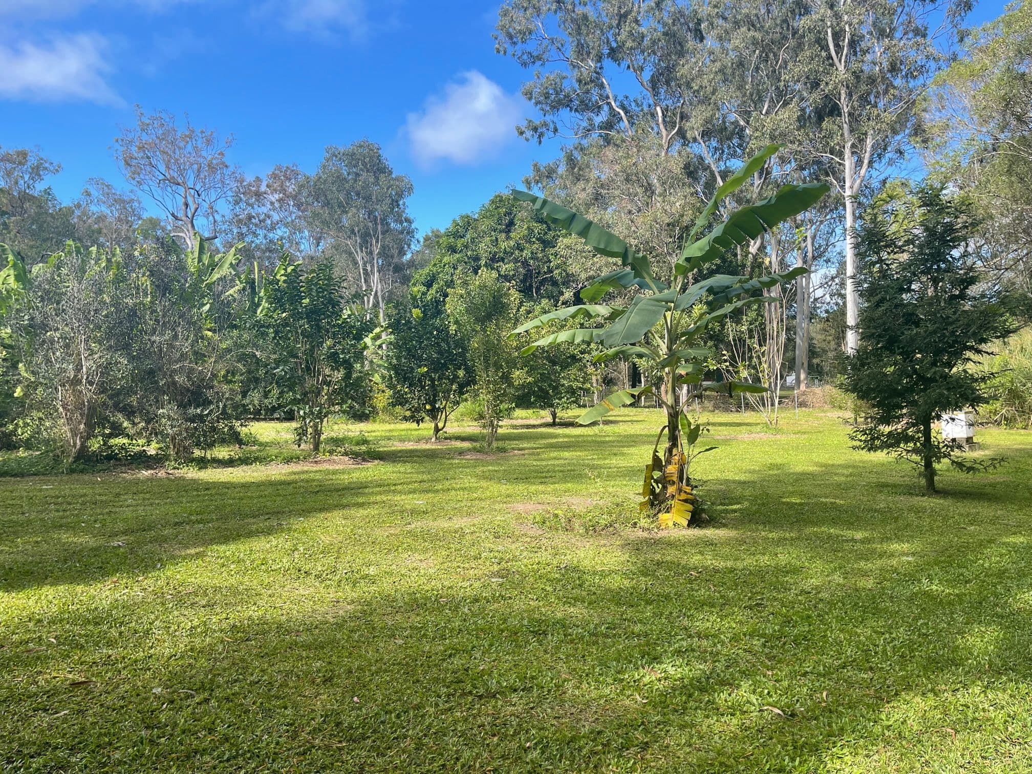 2302 Kennedy Highway, Koah QLD 4881, Koah - Thumbnail 4