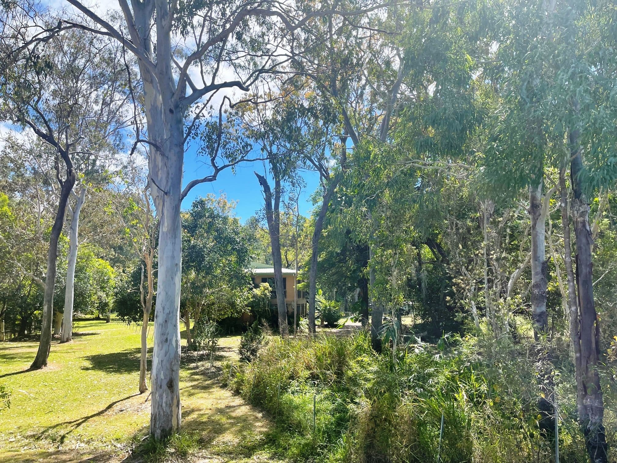 2302 Kennedy Highway, Koah QLD 4881, Koah - Thumbnail 6