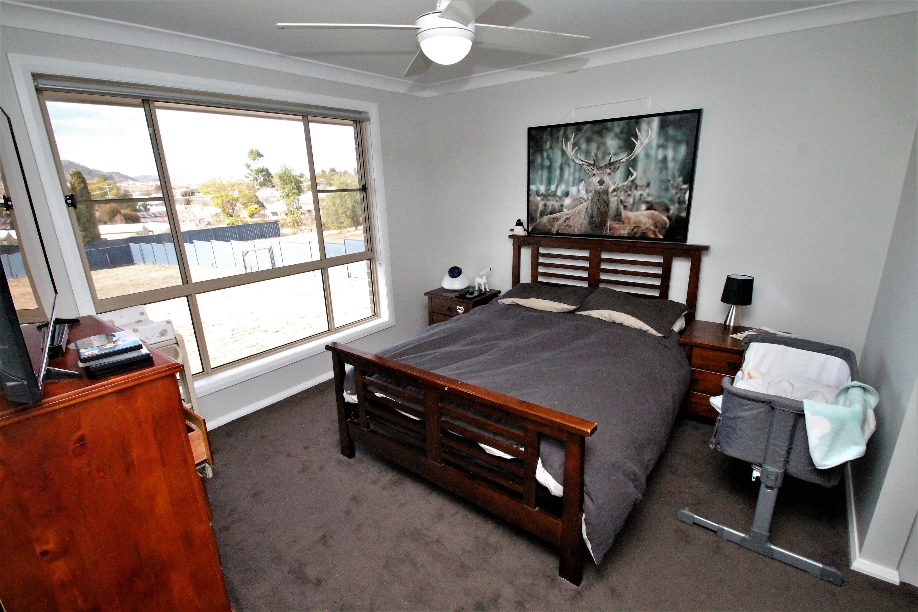8 Breeza Street, Quirindi NSW 2343, Quirindi - Thumbnail 5