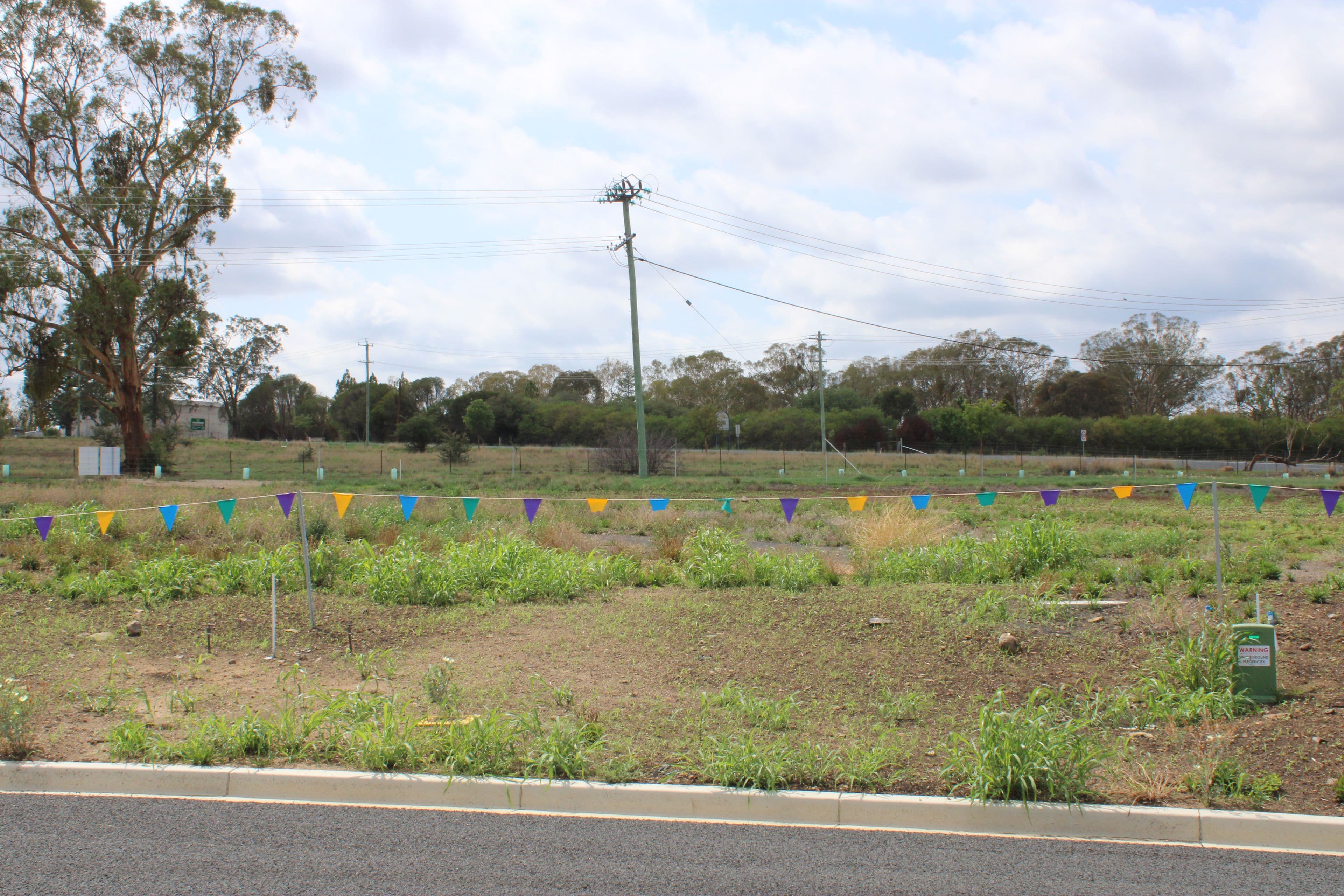 81 Mather Street, Inverell NSW 2360, Inverell - Thumbnail 2