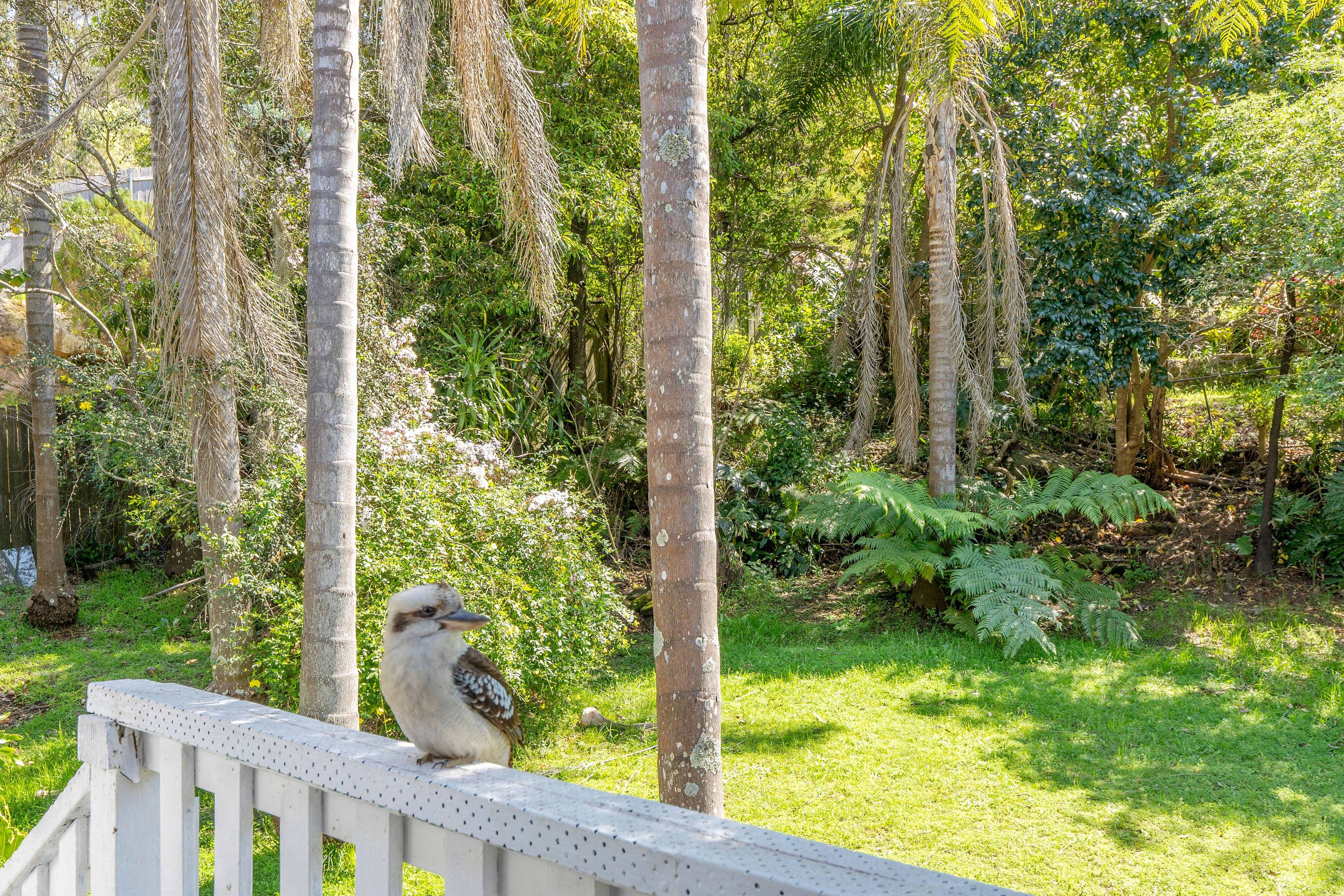 22 Boree Road, Forestville NSW 2087, Forestville - Thumbnail 7