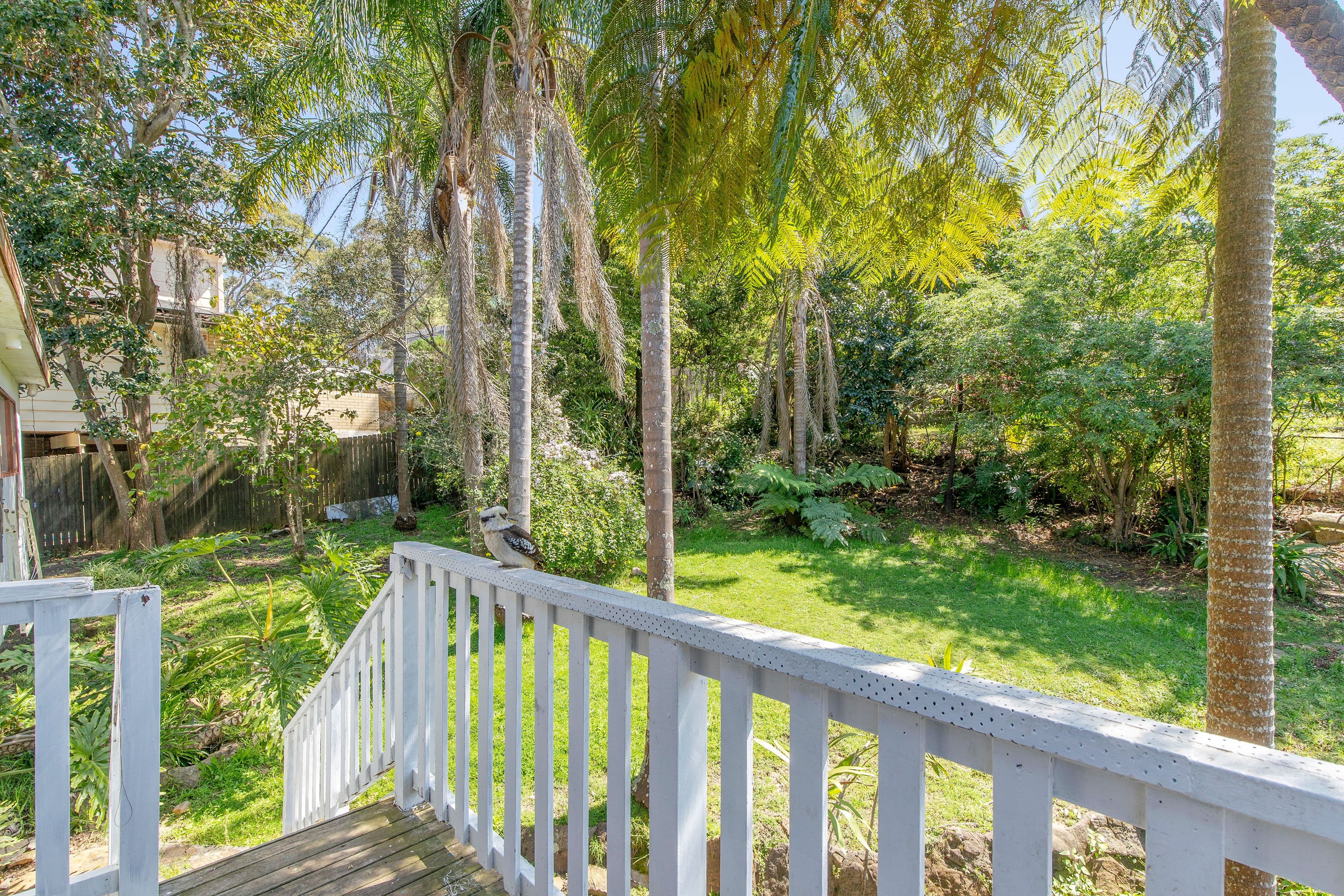 22 Boree Road, Forestville NSW 2087, Forestville - Thumbnail 8