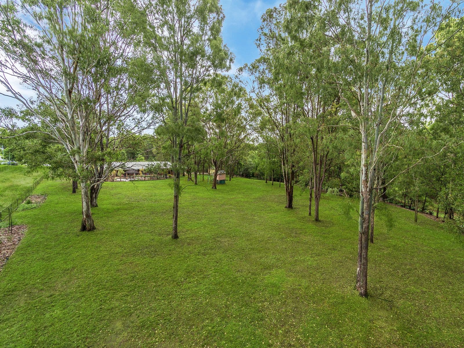 343 Bridgeman Road, Bridgeman Downs QLD 4035, Bridgeman Downs - Thumbnail 4