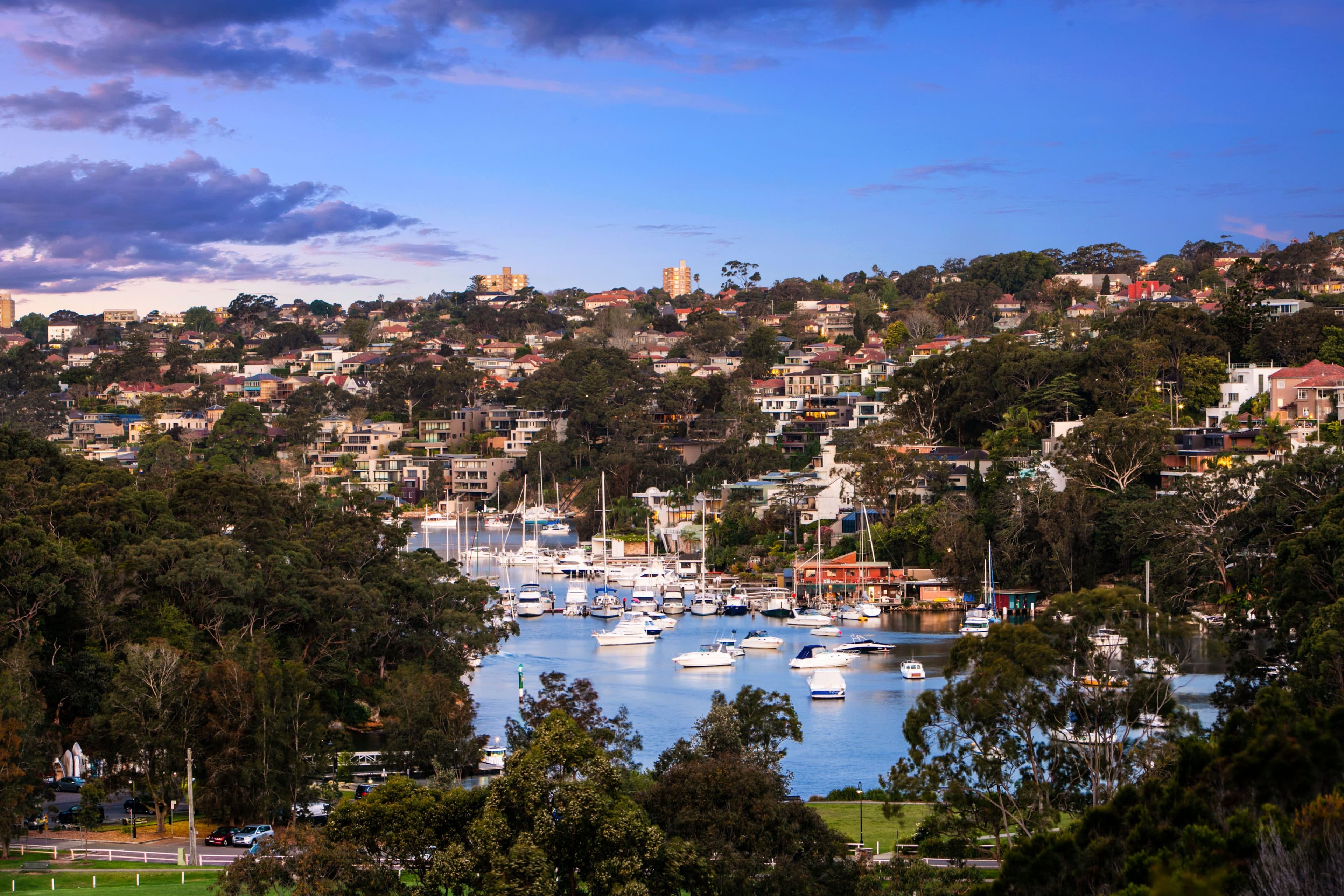 28 The Boulevarde, Cammeray NSW 2062, Cammeray - Thumbnail 3