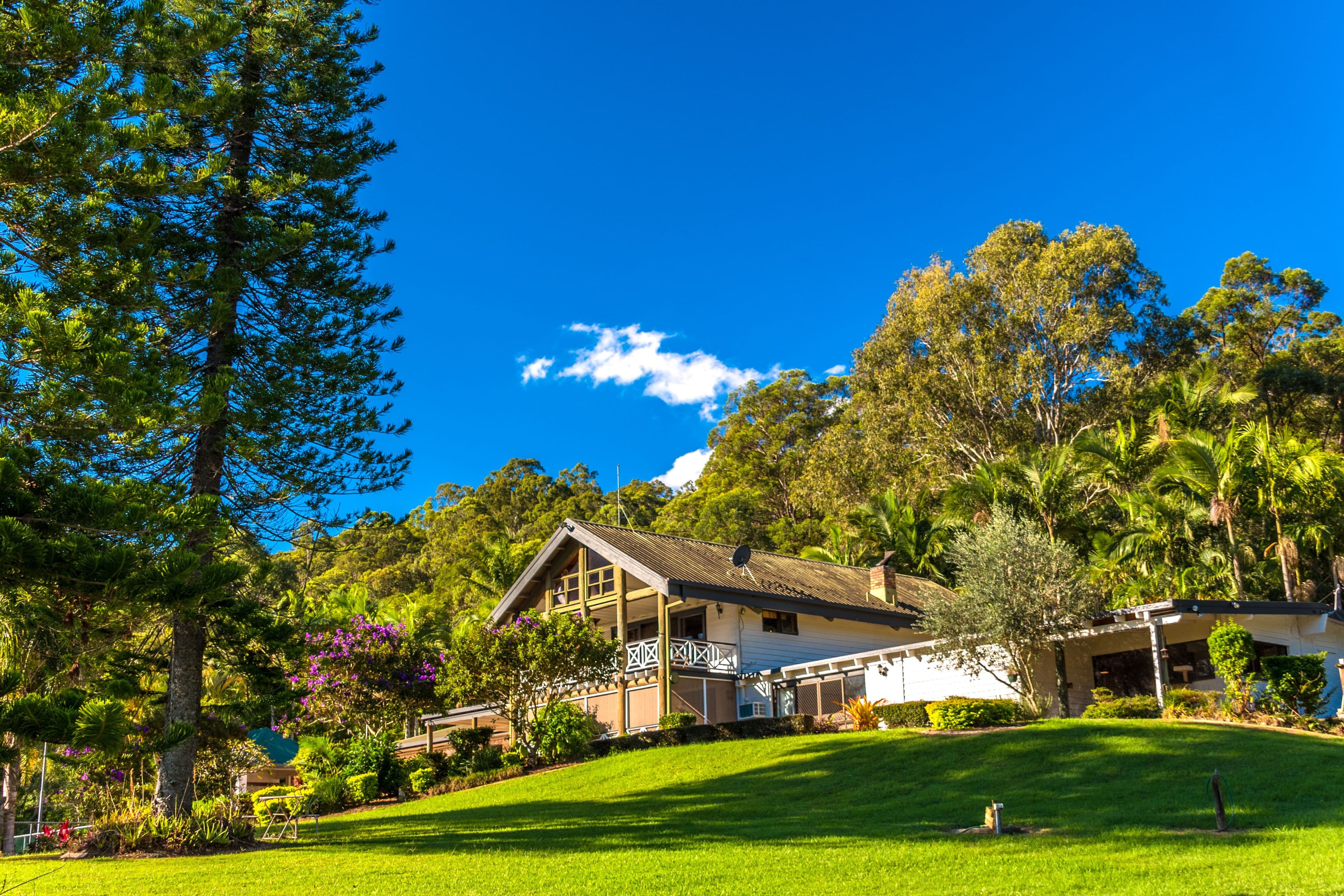 571 Gold Coast-Springbrook Road, Mudgeeraba QLD 4213, Mudgeeraba - Thumbnail 3