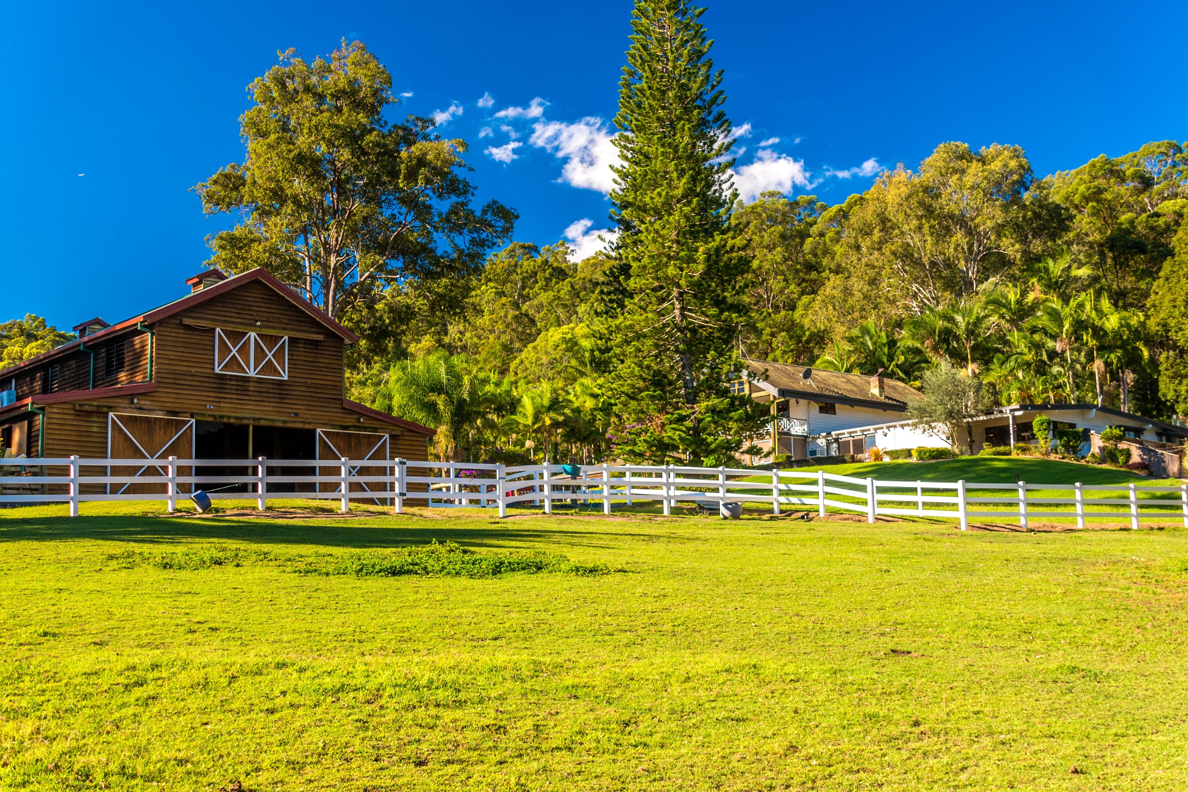 571 Gold Coast-Springbrook Road, Mudgeeraba QLD 4213, Mudgeeraba - Thumbnail 4