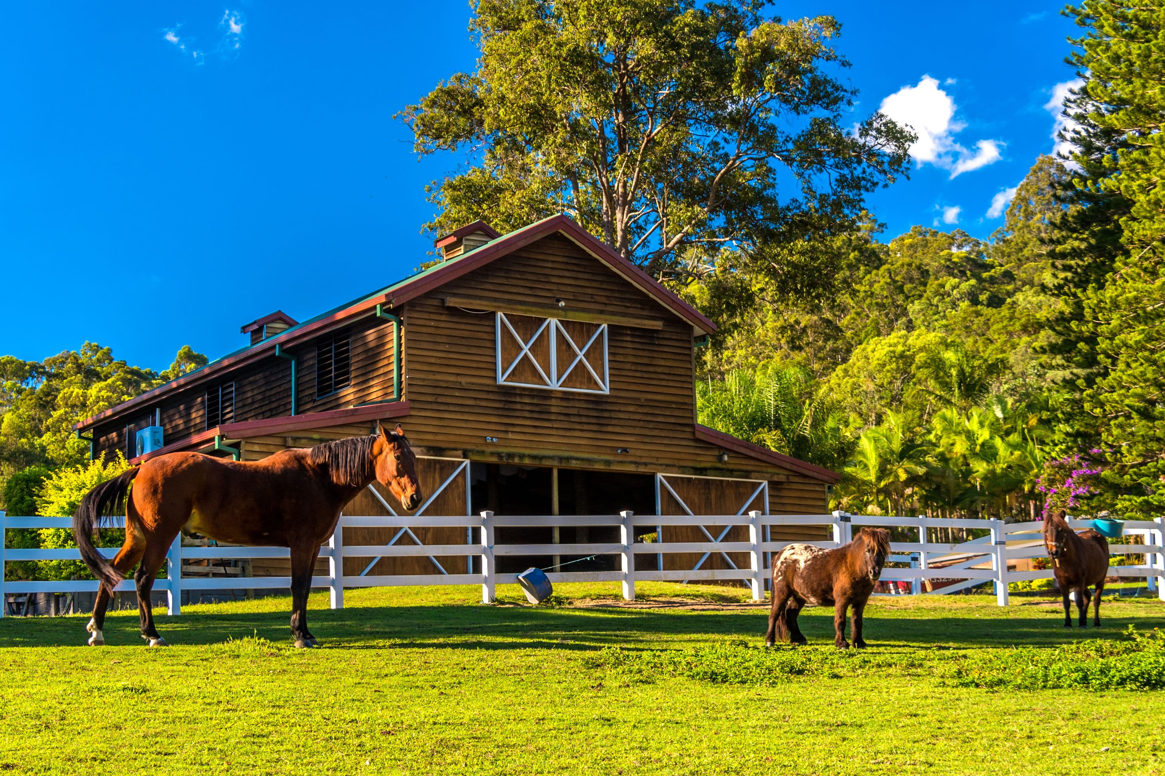 571 Gold Coast-Springbrook Road, Mudgeeraba QLD 4213, Mudgeeraba - Thumbnail 6