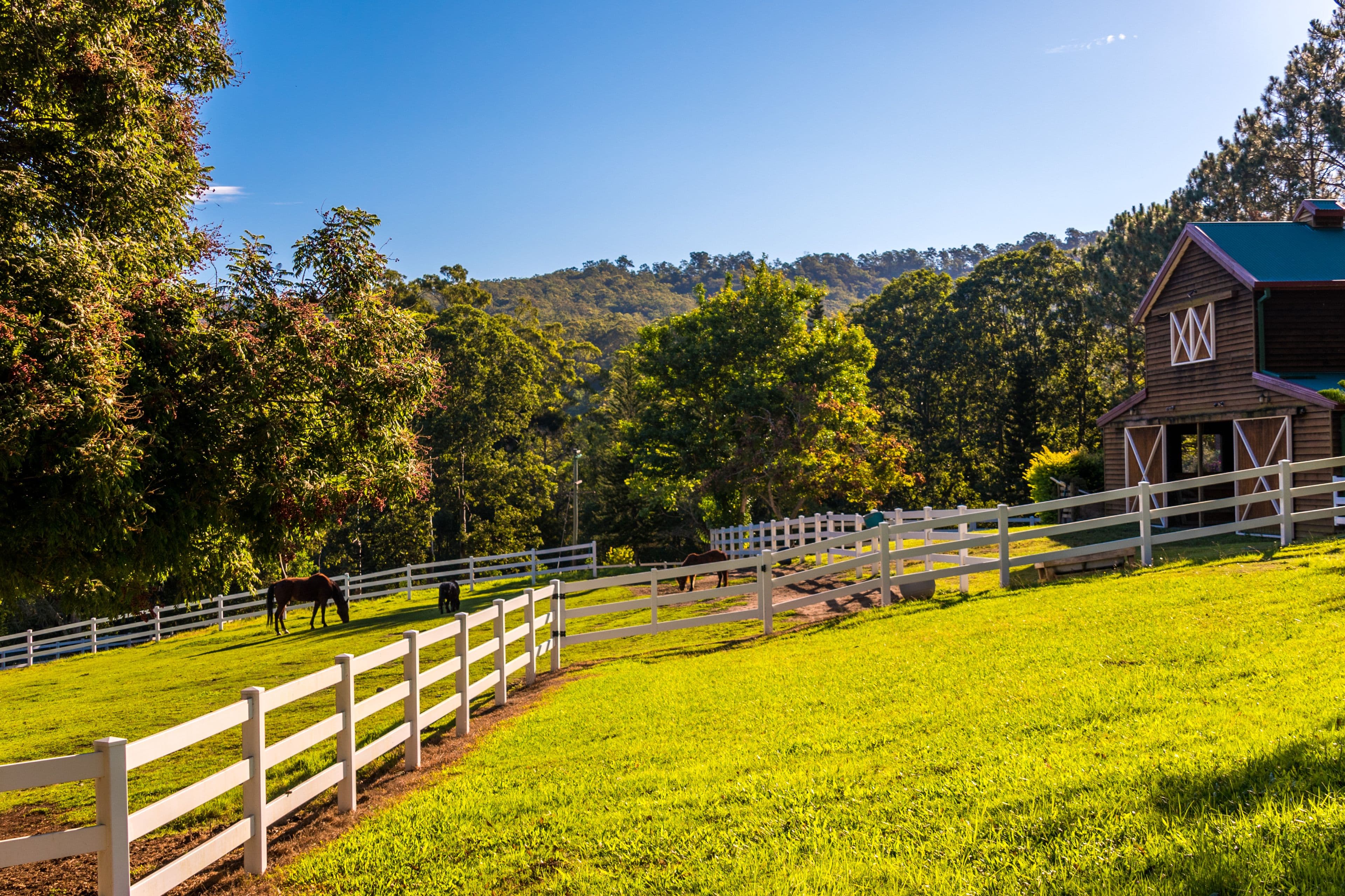 571 Gold Coast-Springbrook Road, Mudgeeraba QLD 4213, Mudgeeraba - Thumbnail 7