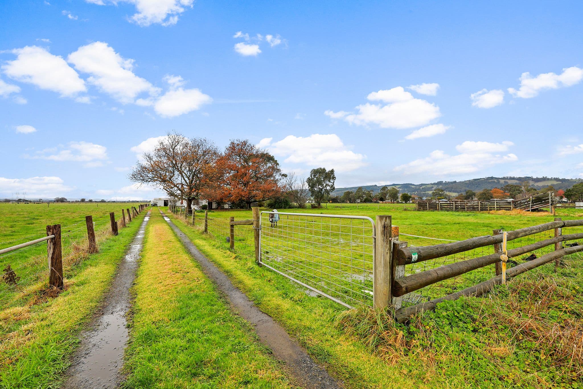 86 Willow Grove Road, Trafalgar VIC 3824, Trafalgar - Thumbnail 3