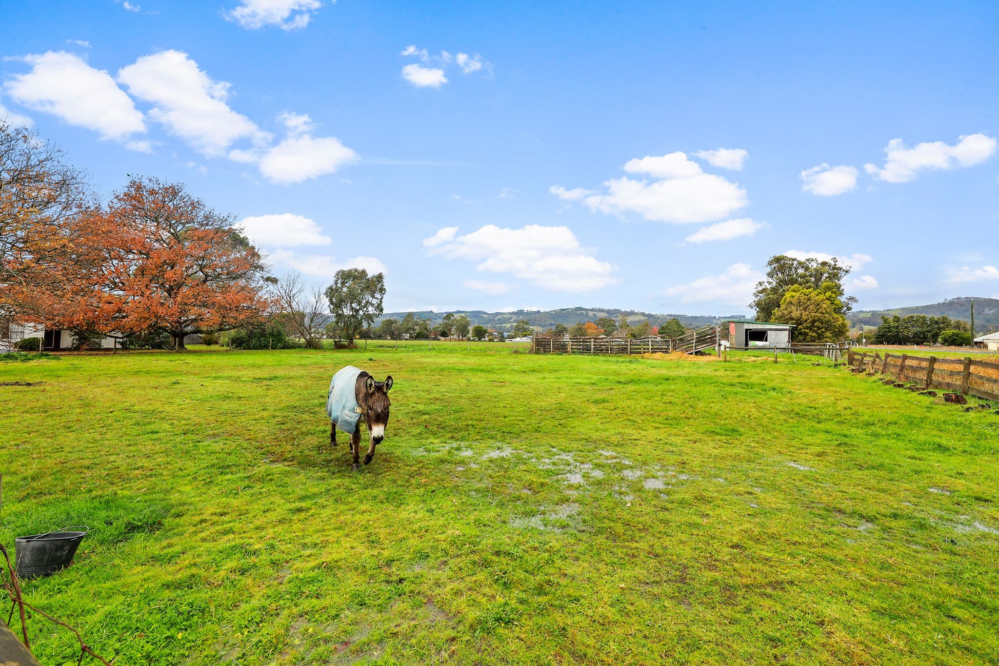 86 Willow Grove Road, Trafalgar VIC 3824, Trafalgar - Thumbnail 4