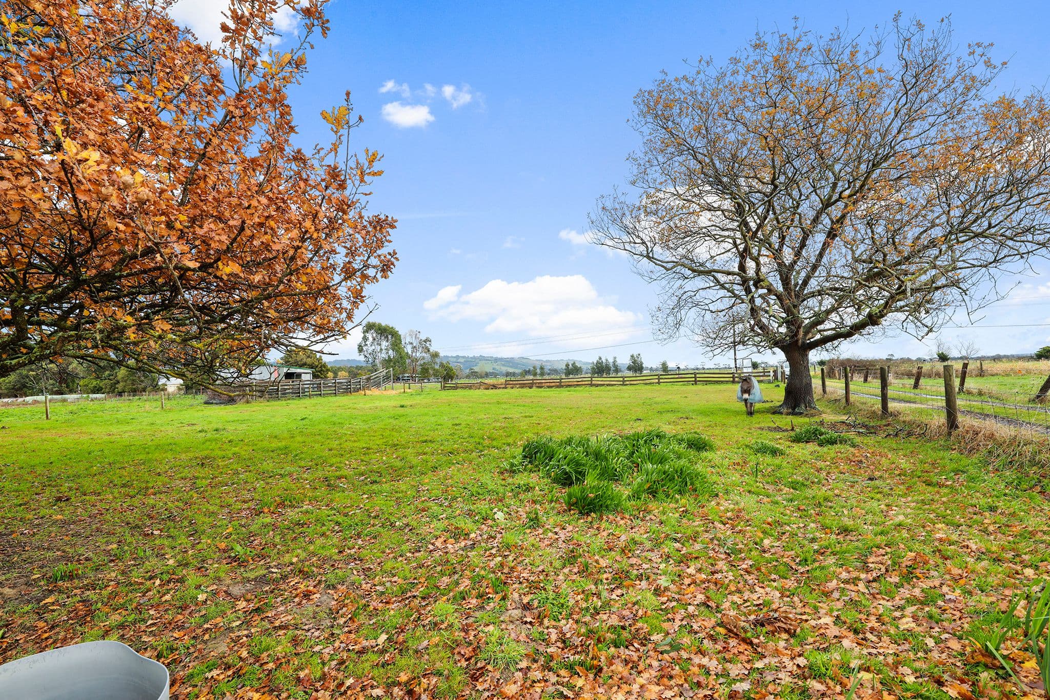 86 Willow Grove Road, Trafalgar VIC 3824, Trafalgar - Thumbnail 5