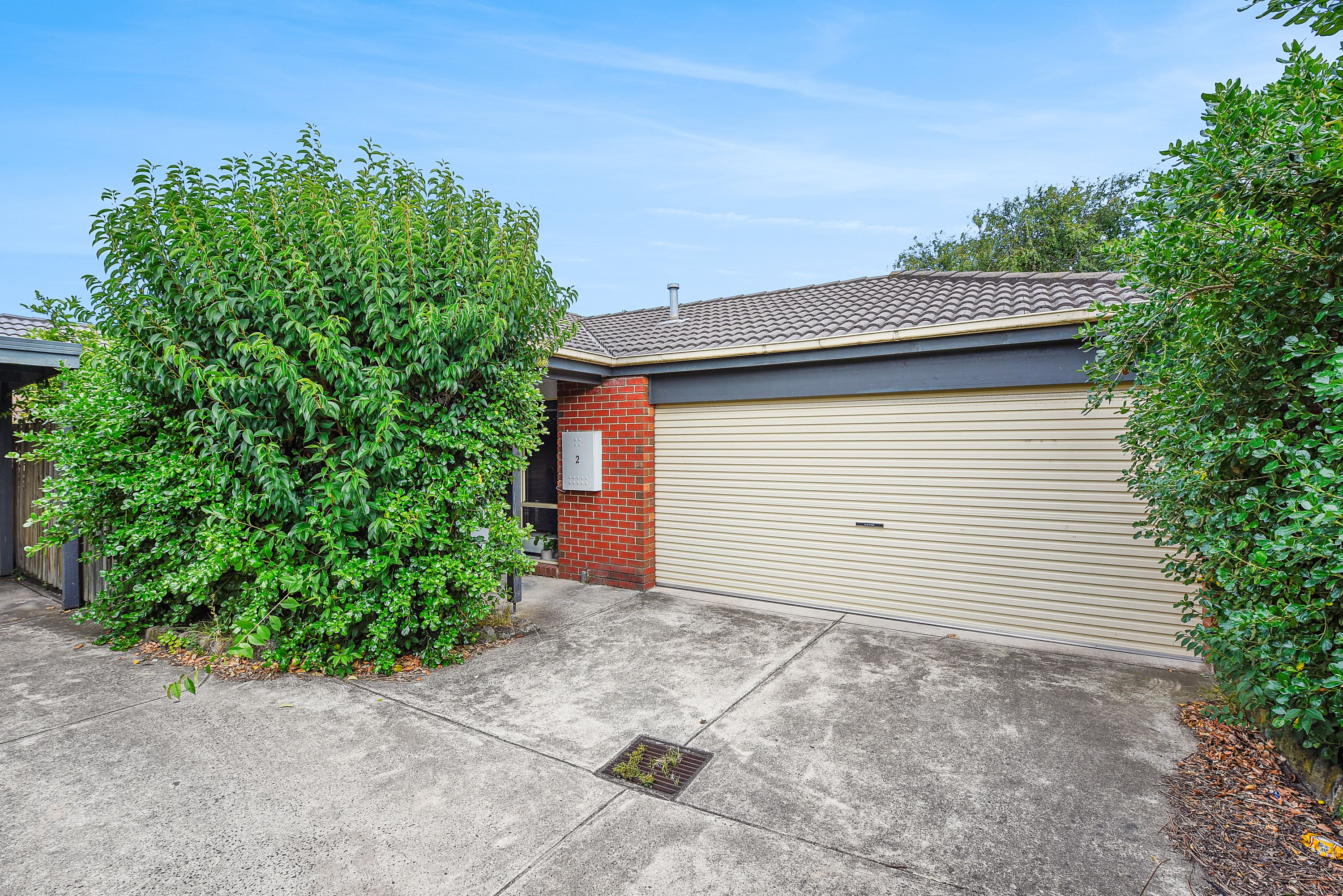3 Eva Street, Clayton VIC 3168, Clayton - Thumbnail 3