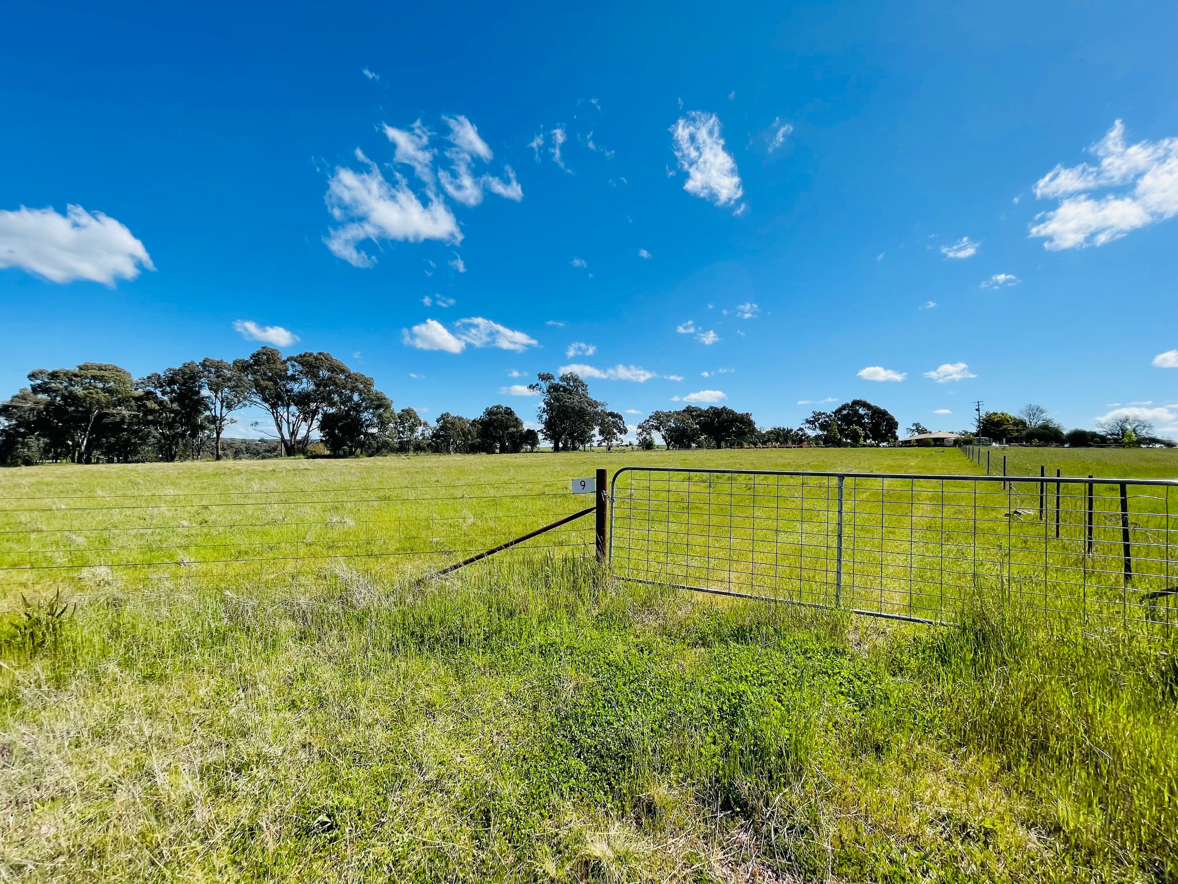 9 Dowling Dr, Murringo via, Young NSW 2594, Young - Image 1