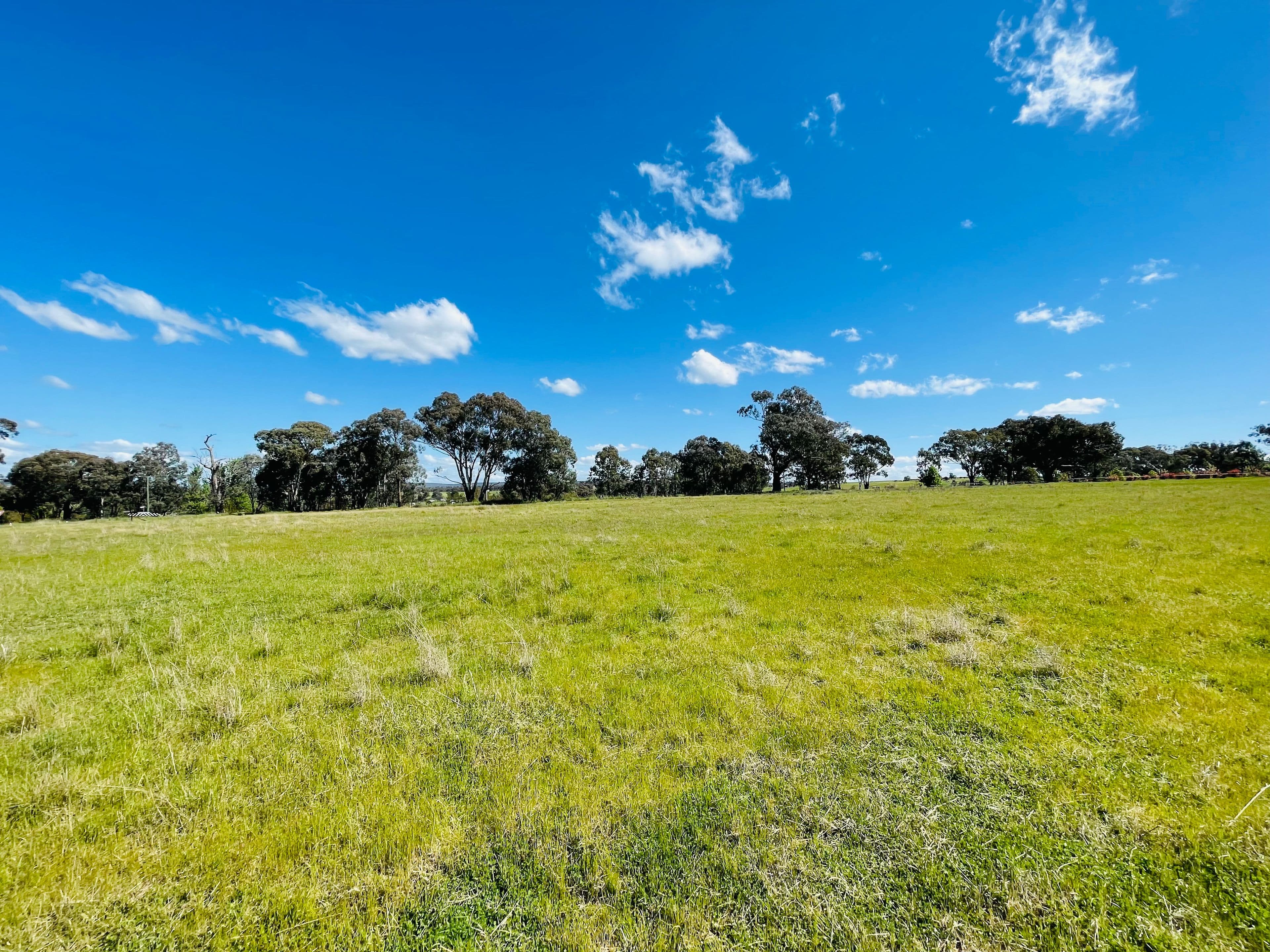 9 Dowling Dr, Murringo via, Young NSW 2594, Young - Thumbnail 4