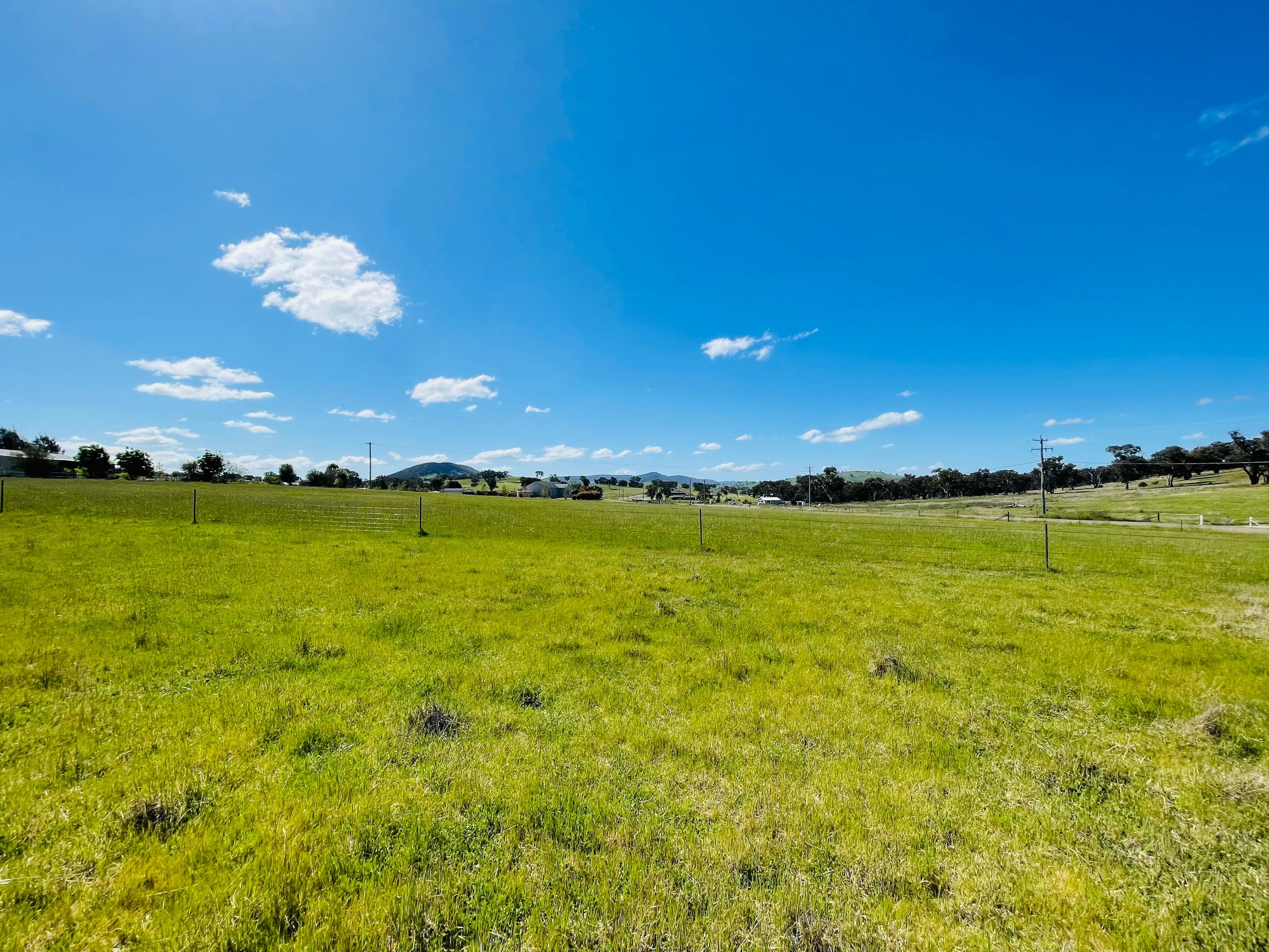 9 Dowling Dr, Murringo via, Young NSW 2594, Young - Thumbnail 5