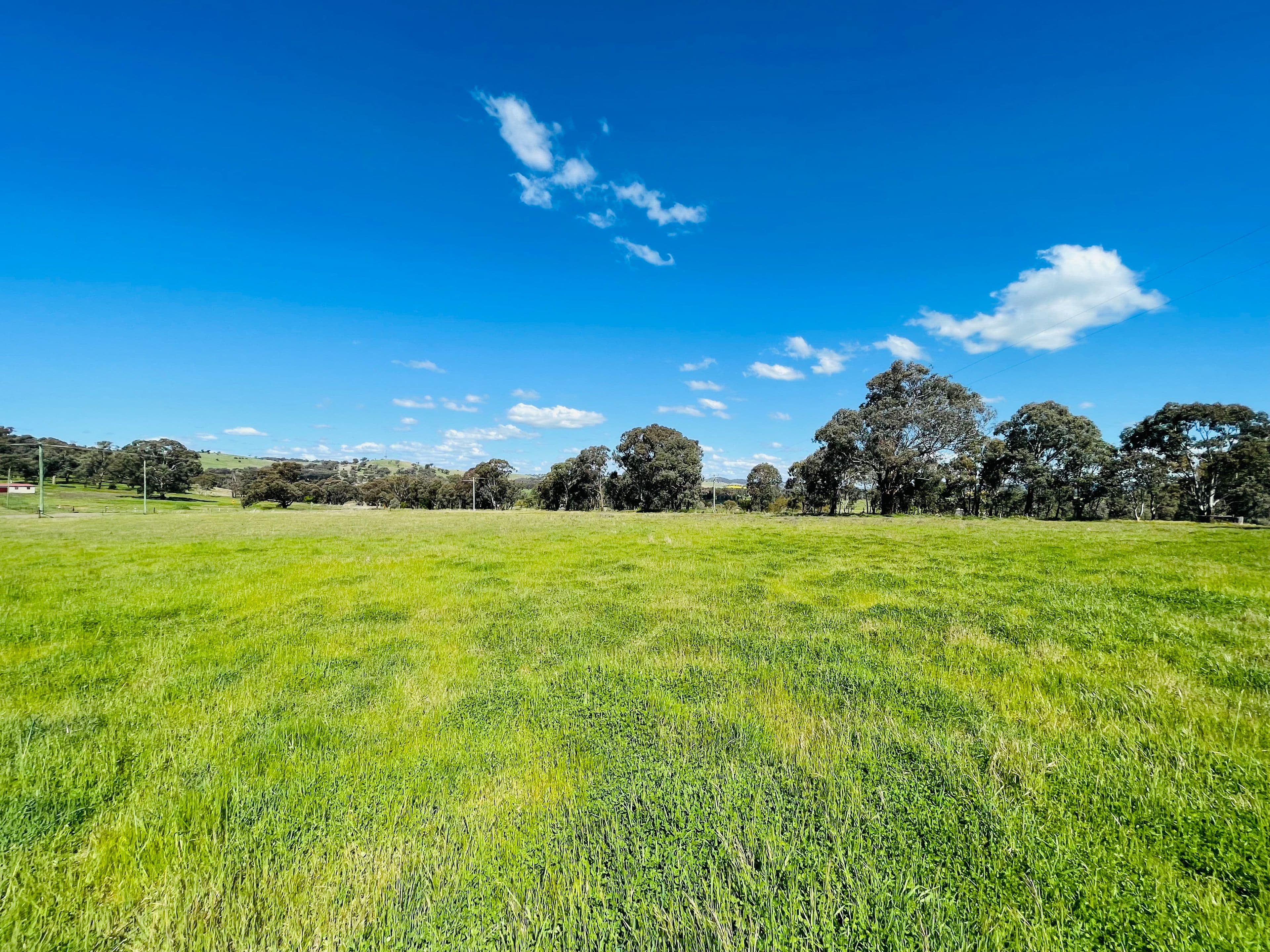 9 Dowling Dr, Murringo via, Young NSW 2594, Young - Thumbnail 6