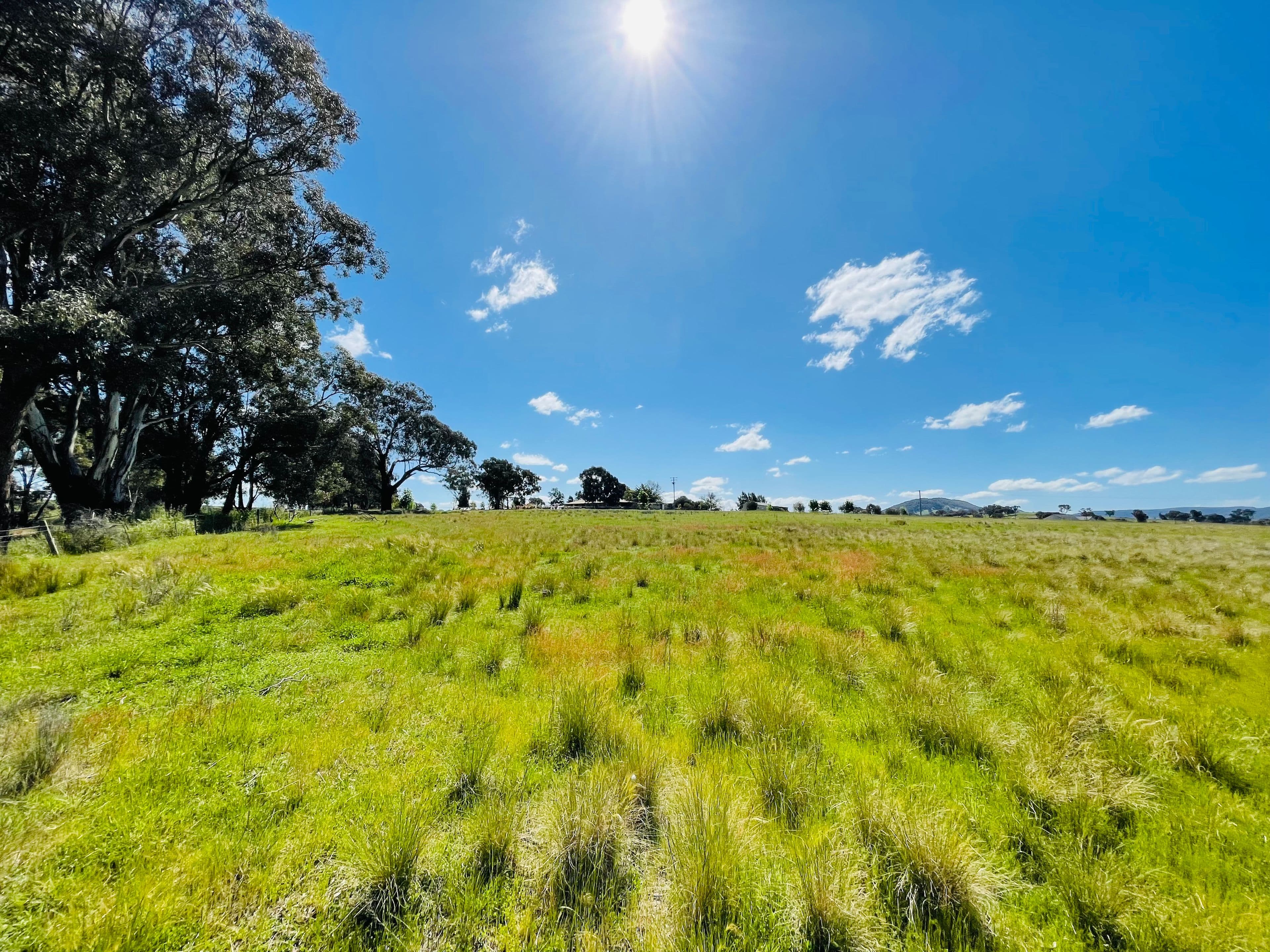 9 Dowling Dr, Murringo via, Young NSW 2594, Young - Thumbnail 8