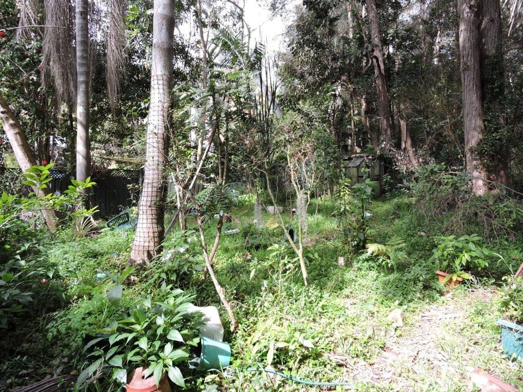24 Calantha Drive, WYOMING NSW 2250, Wyoming - Thumbnail 4