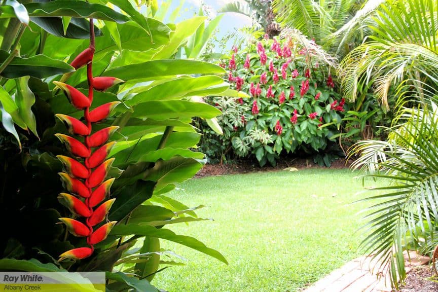 23 Trevallyn Place, UPPER KEDRON QLD 4055, Upper Kedron - Thumbnail 5
