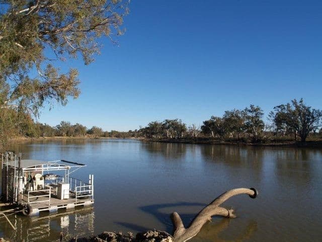 169 Qualco Road, WAIKERIE SA 5330, Waikerie - Thumbnail 2