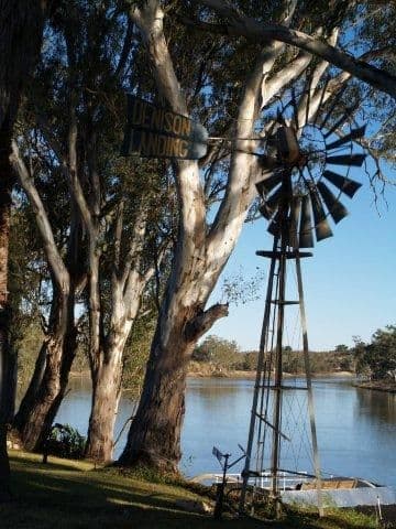 169 Qualco Road, WAIKERIE SA 5330, Waikerie - Thumbnail 3