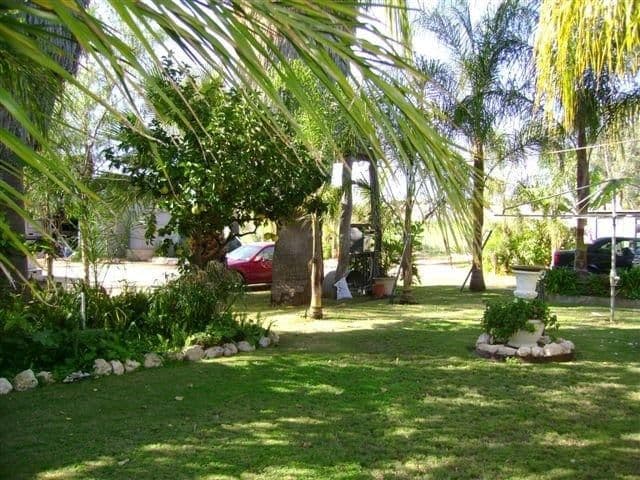 169 Qualco Road, WAIKERIE SA 5330, Waikerie - Thumbnail 7