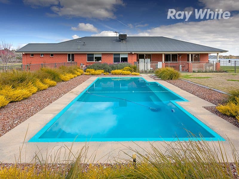 11 Davenport Road, THURGOONA NSW 2640, Thurgoona - Thumbnail 3
