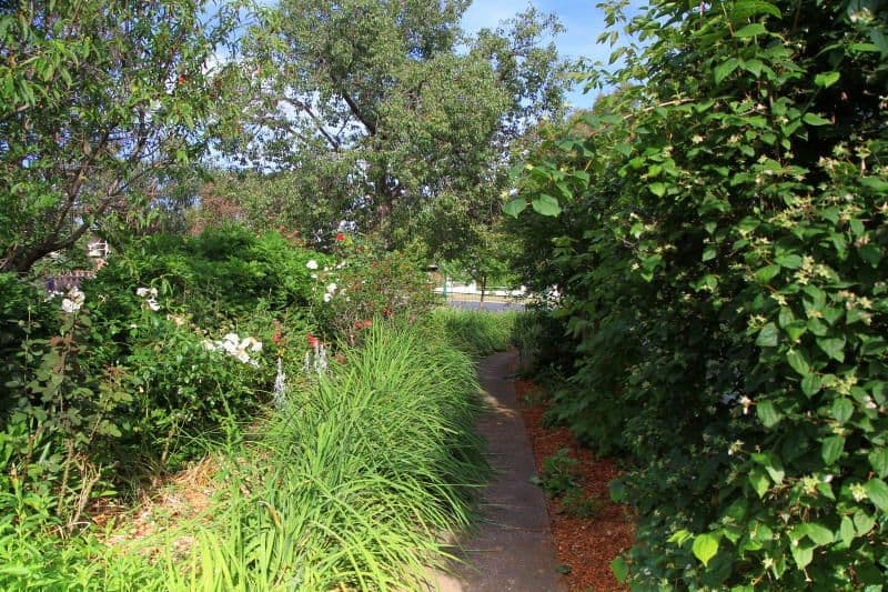 50 Caple Street, YOUNG NSW 2594, Young - Thumbnail 7