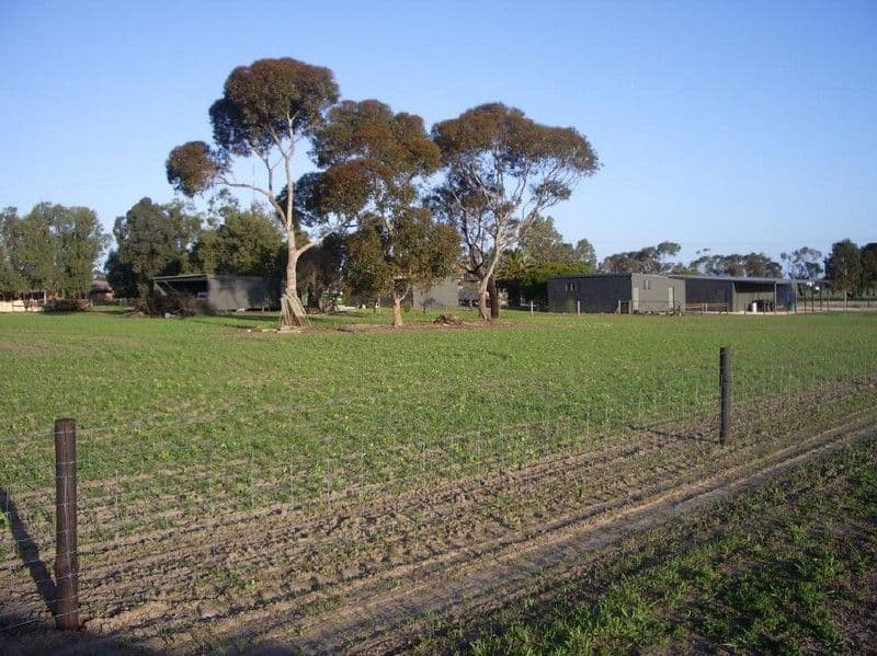 Lot 13 Cannawigara Road, BORDERTOWN SA 5268, Bordertown - Thumbnail 5