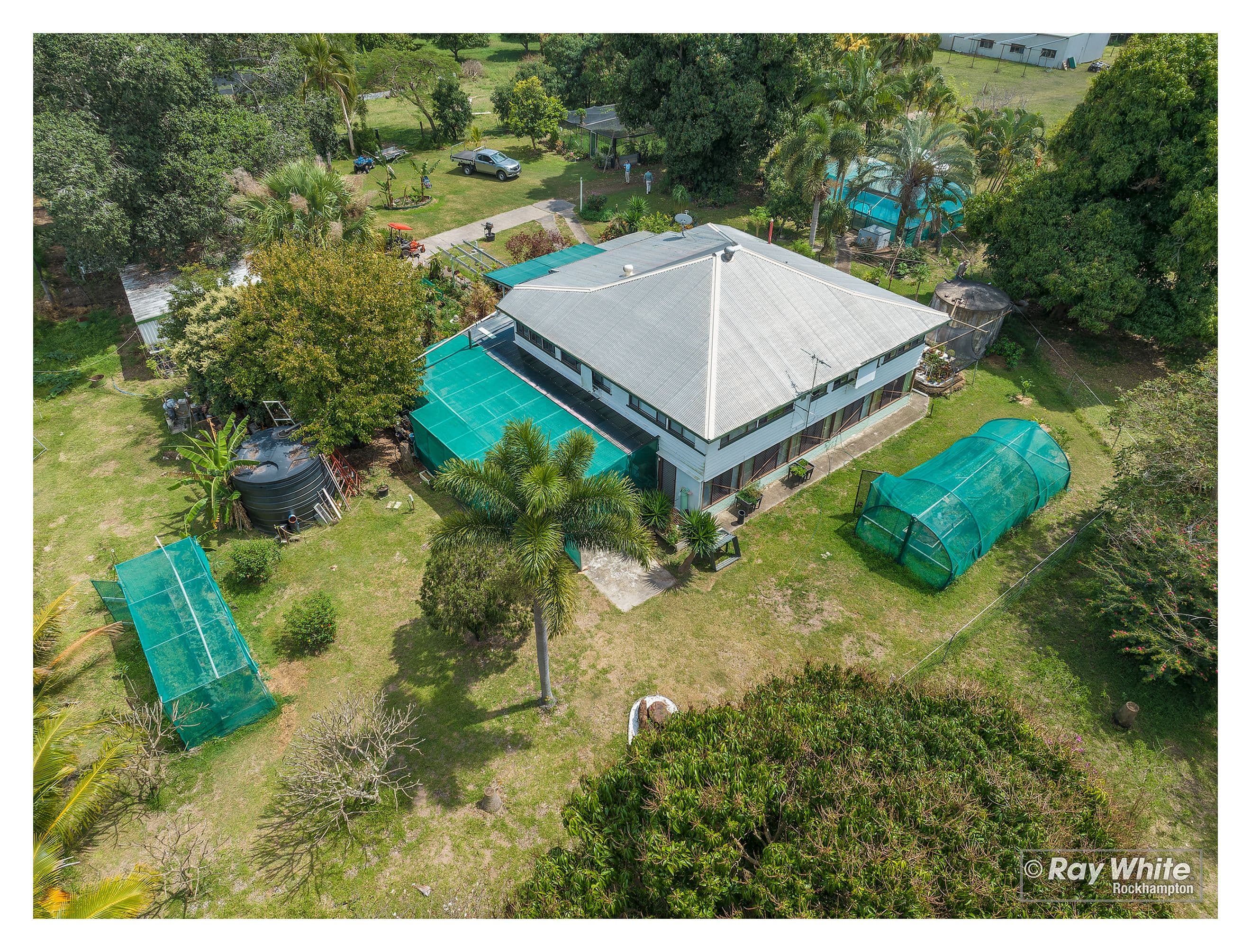 339 SIX MILE Road, Pink Lily QLD 4702, Pink Lily - Thumbnail 2