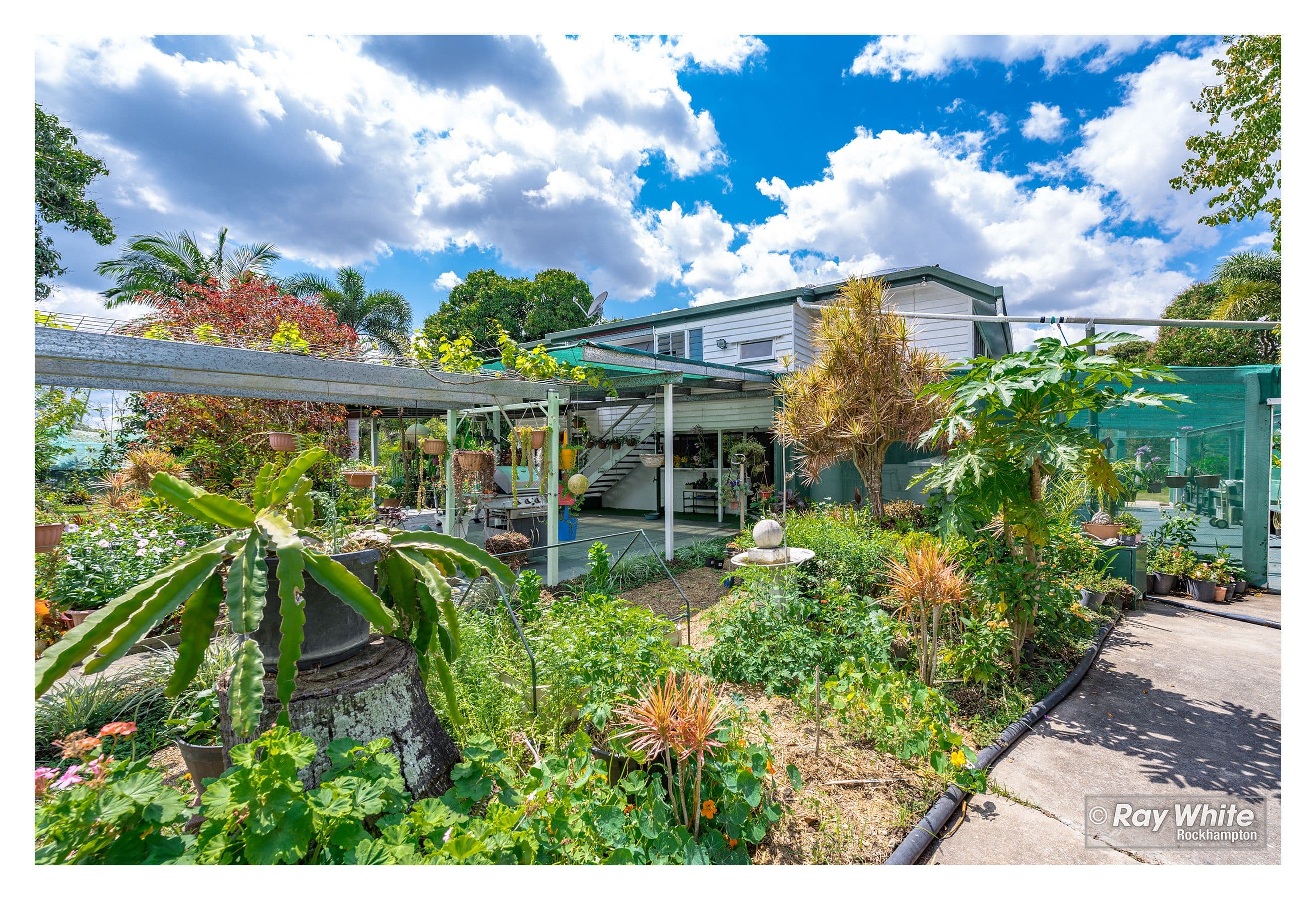 339 SIX MILE Road, Pink Lily QLD 4702, Pink Lily - Thumbnail 4