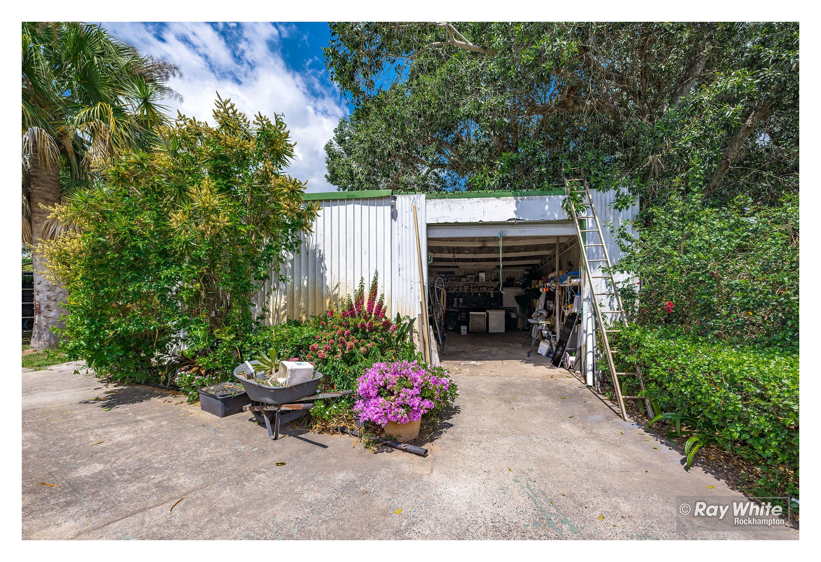 339 SIX MILE Road, Pink Lily QLD 4702, Pink Lily - Thumbnail 5