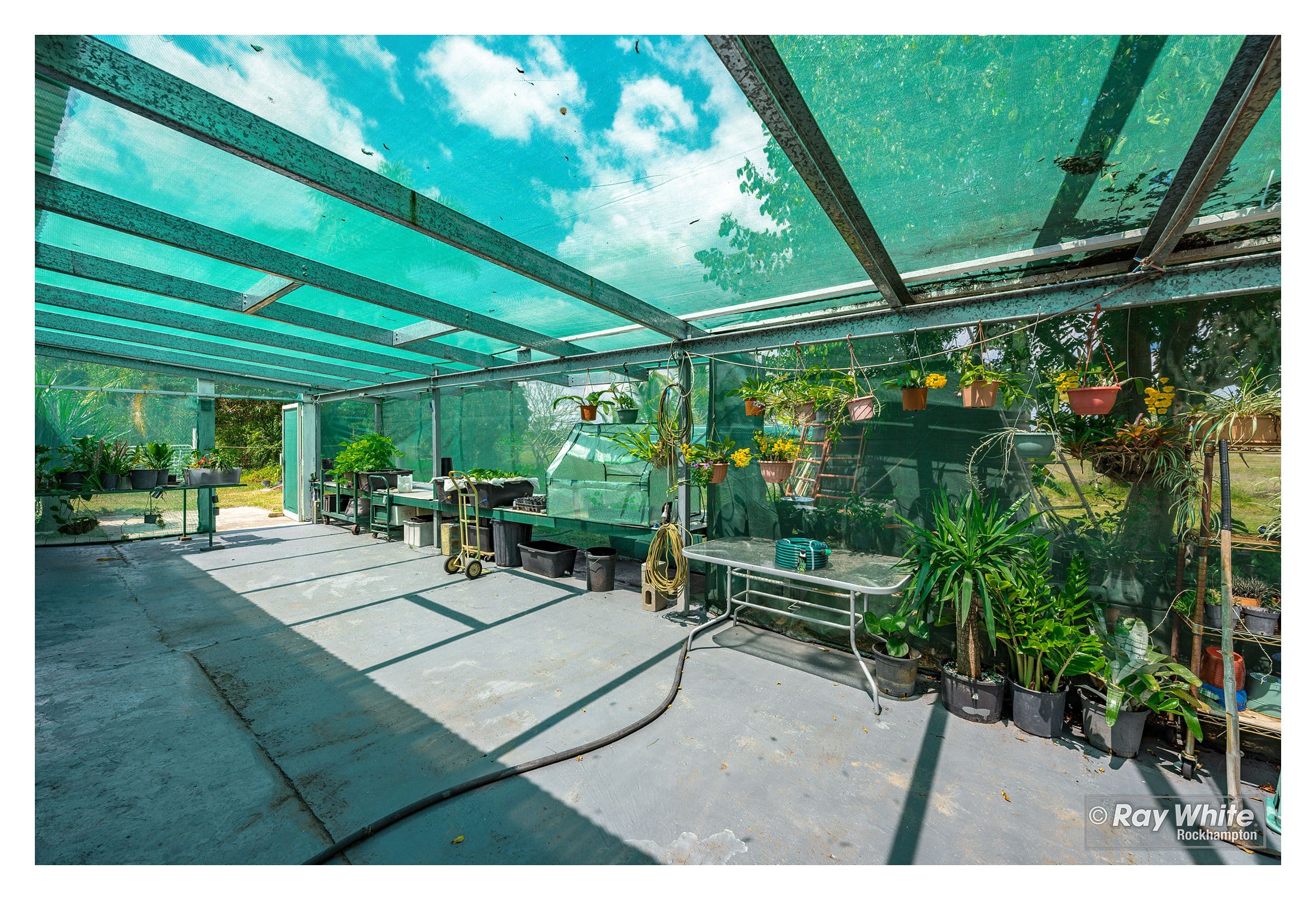 339 SIX MILE Road, Pink Lily QLD 4702, Pink Lily - Thumbnail 7