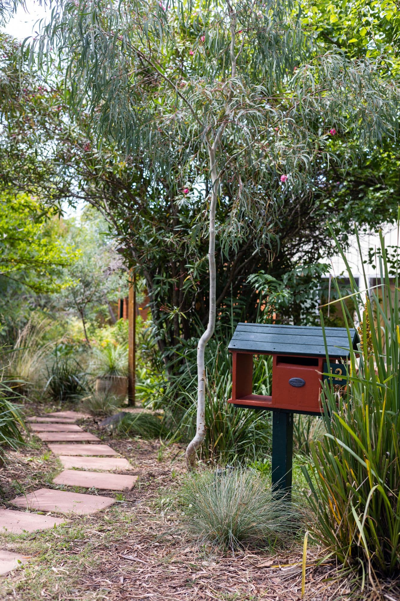 12 Elizabeth Crescent, Macquarie ACT 2614, Macquarie - Thumbnail 5