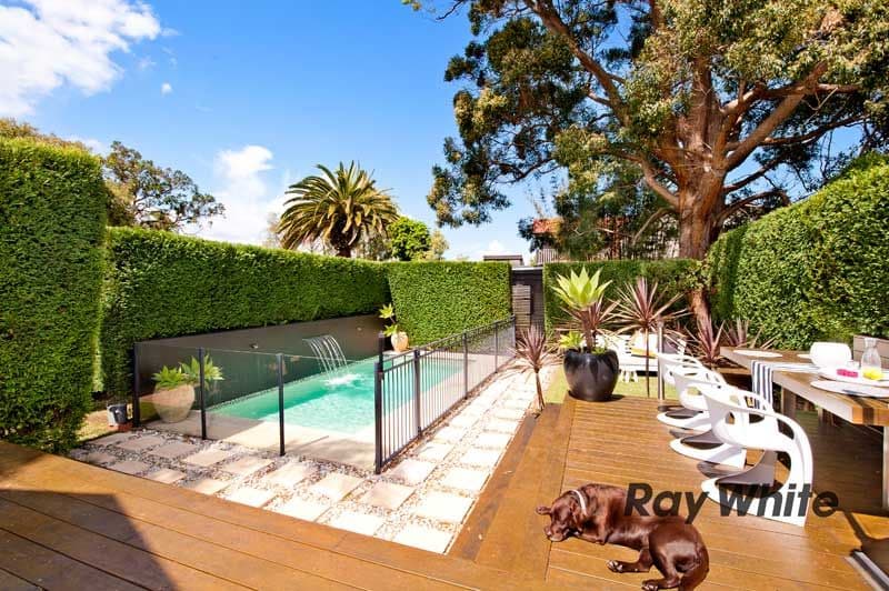 36 Forsyth Street, WILLOUGHBY NSW 2068, North Willoughby - Thumbnail 5