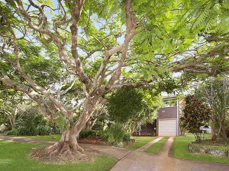 53 Lindsay Road, Buderim QLD 4556, Buderim - Thumbnail 4