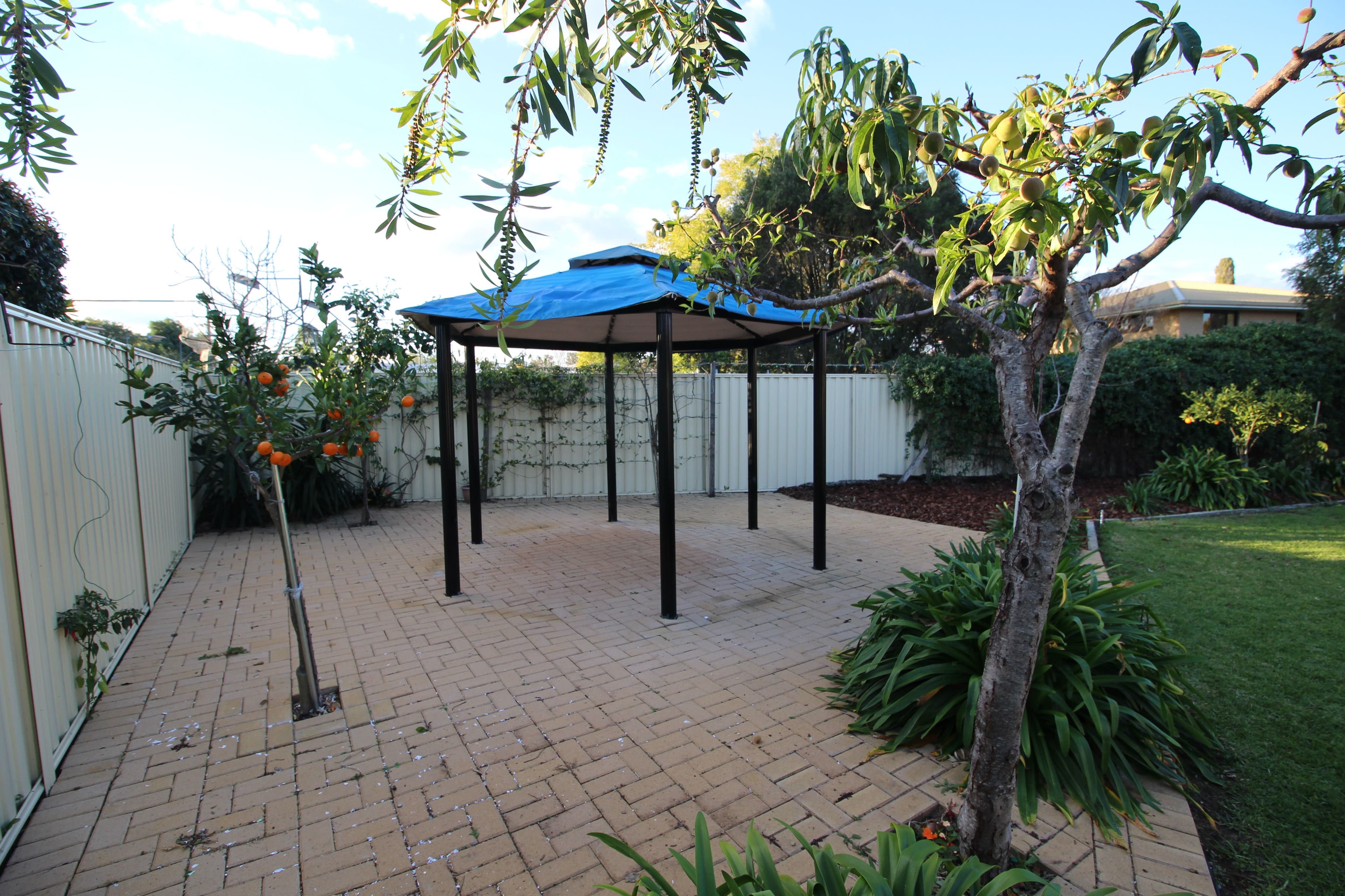 19 Briggs, Pittsworth QLD 4356, Pittsworth - Thumbnail 5