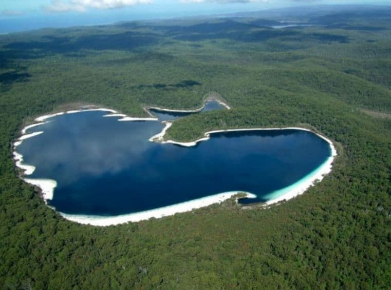 Lot 14 Eastern Forest 3, Kingfisher Bay Village, Fraser Island QLD 4581, Fraser Island - Thumbnail 6