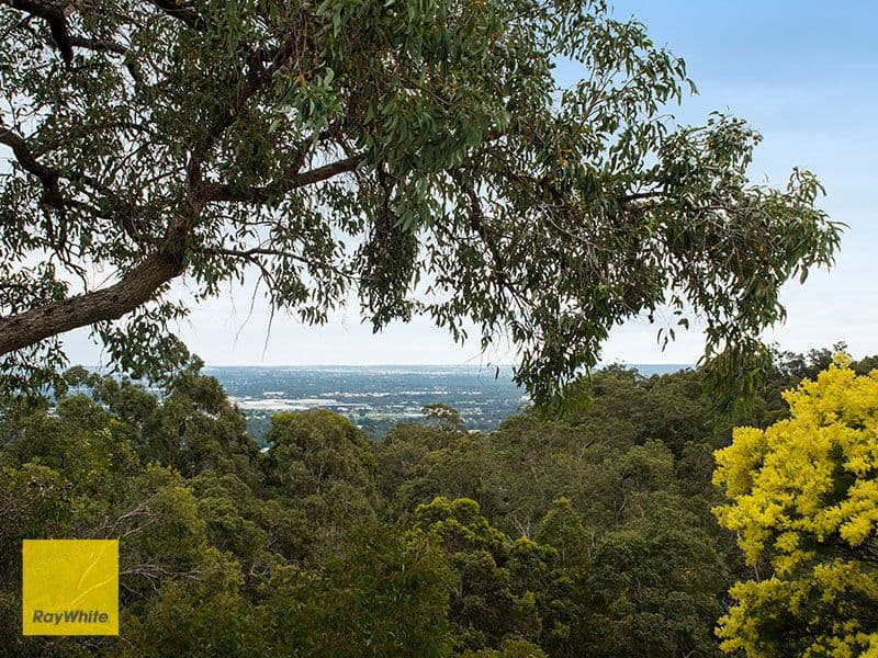 16 Lascelles Parade, Gooseberry Hill WA 6076, Gooseberry Hill - Thumbnail 2