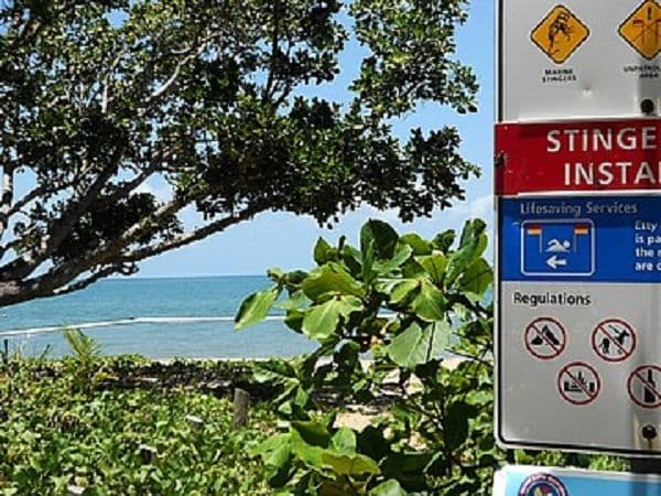 44 Hawthorne Drive, Kurrimine Beach QLD 4871, Kurrimine Beach - Thumbnail 8