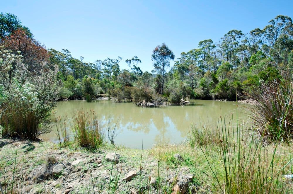 65 Austins Road, TURNERS MARSH TAS 7267, Turners Marsh - Thumbnail 5