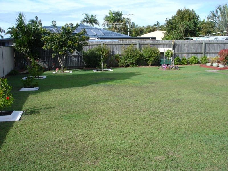 49 Sunbird Chase, PARREARRA QLD 4575, Parrearra - Thumbnail 6