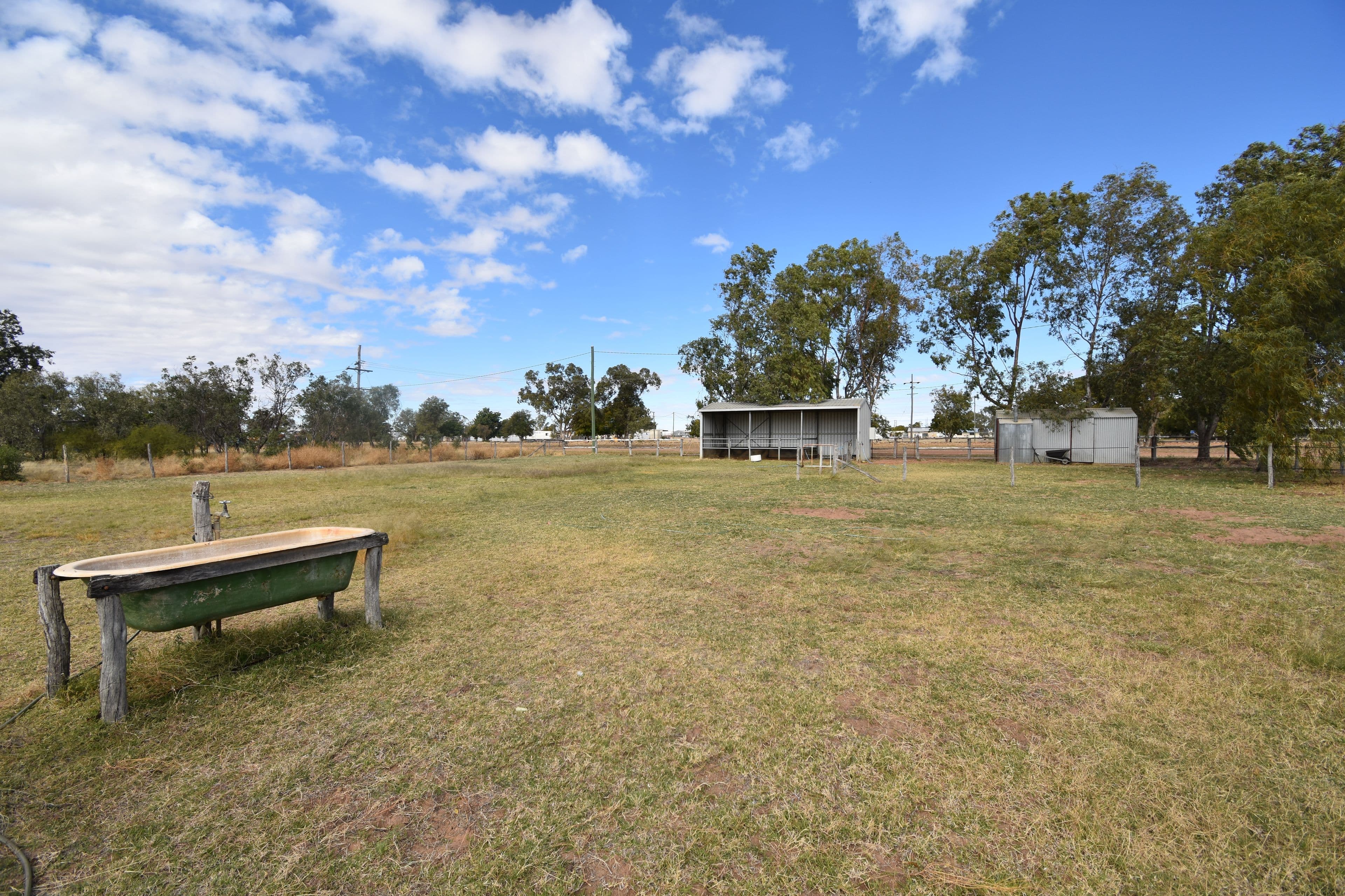 36 Wilga Street, Barcaldine QLD 4725, Barcaldine - Thumbnail 4