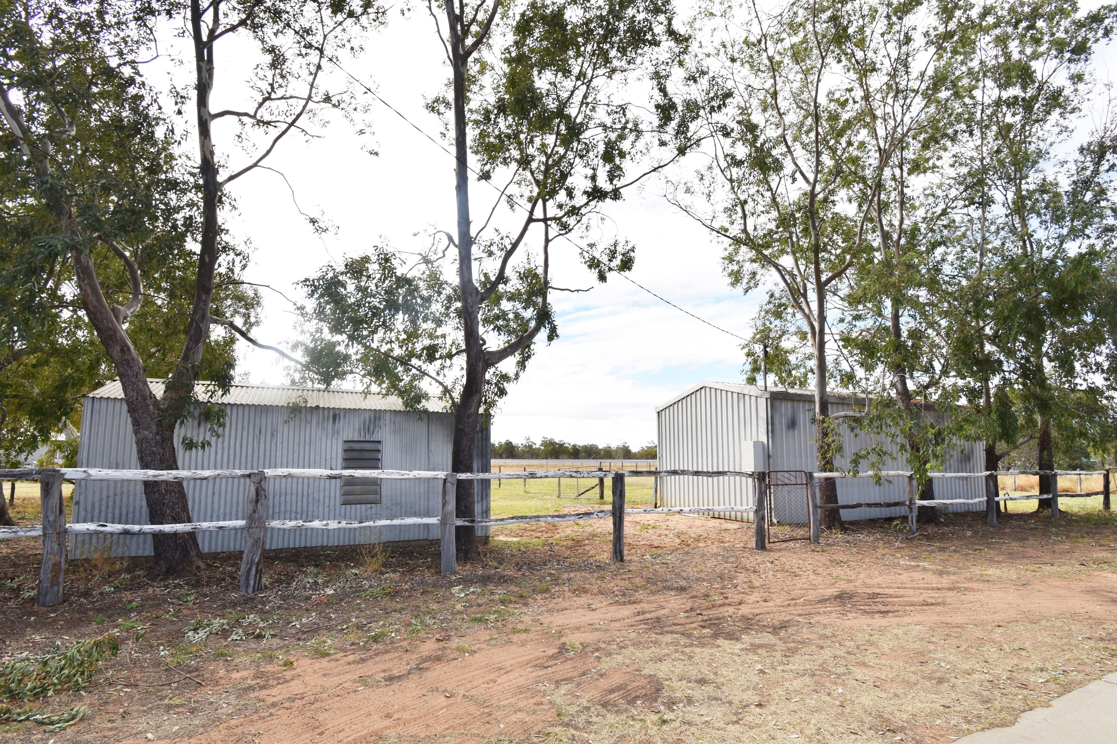 36 Wilga Street, Barcaldine QLD 4725, Barcaldine - Thumbnail 5