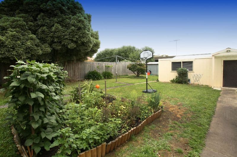 56 Willow Avenue, GLEN WAVERLEY VIC 3150, Glen Waverley - Thumbnail 8